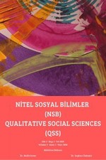 The Use of Financial Incentives in Qualitative Research across Disciplines in the United States: A Methodological Review from 1995 to 2021